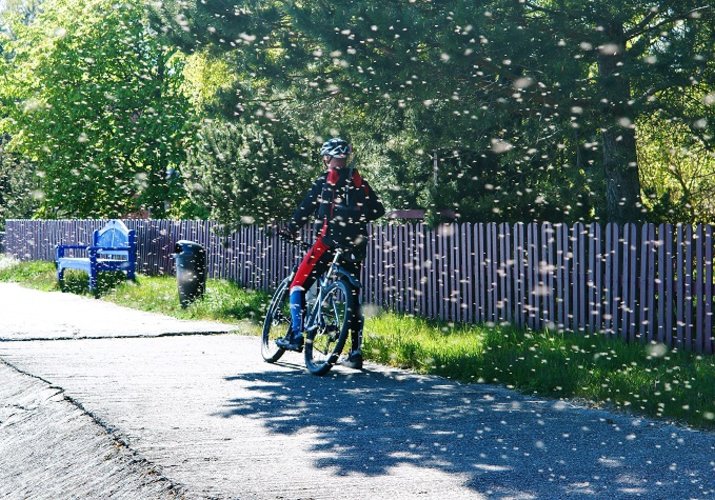 5 sposobów na ochronę przed owadami podczas jazdy rowerem