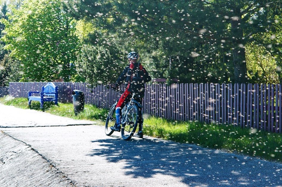 5 sposobów na ochronę przed owadami podczas jazdy rowerem>