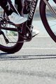 SHIMANO Buty rowerowe - SH-RC502 - biały