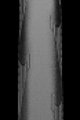 CONTINENTAL opona - GRAND SPORT 700x25C - czarny