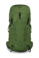 OSPREY plecak - TALON 33 L/XL - zielony