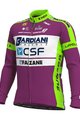 ALÉ Zimowa koszulka kolarska z długim rękawem - BARDIANI CSF 20 WNT - zielony/fioletowy