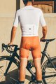 MONTON Krótkie spodnie kolarskie z szelkami - SKULL - brązowy