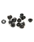 SRAM zestaw śrub - CRANK CHAINRING BOLT KIT 4-ARM - czarny