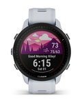 GARMIN smartwatch - FORERUNNER 955 SOLAR - szary