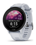 GARMIN smartwatch - FORERUNNER 955 - szary
