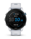 GARMIN smartwatch - FORERUNNER 255 MUSIC - szary
