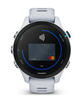 GARMIN smartwatch - FORERUNNER 255S MUSIC - szary