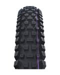 SCHWALBE opona - ALBERT GRAVITY PRO 29x2.50 EVOLUTION 67EPI - czarny