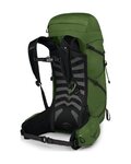 OSPREY plecak - TALON 33 L/XL - zielony