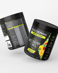ENDORPHIN NUTRITION napój - RECOVERY FUEL 500g