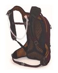 OSPREY plecak - RAVEN 10 LADY - fioletowy