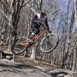 LIMAR Kask kolarski - DELTA MTB - zielony